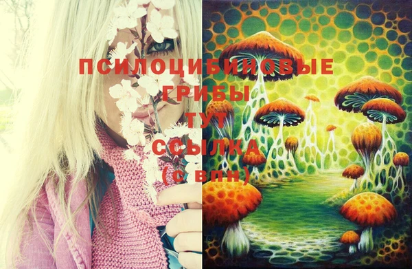 МДМА Ладушкин