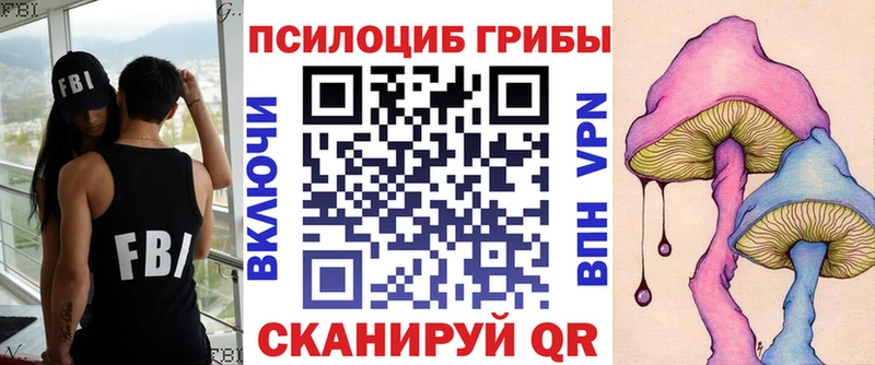цены наркотик  Муром  Псилоцибиновые грибы Magic Shrooms 